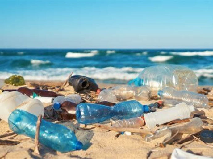 HUMAN IMPACTS - Plastic Pollution