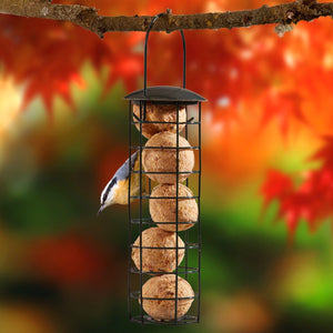 Wild Bird Hanging fat ball Feeder