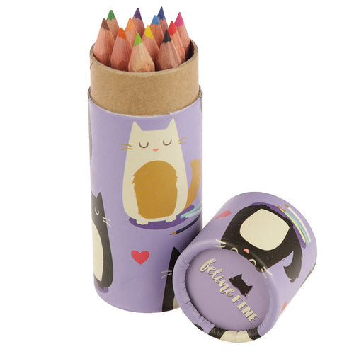 Fun Kids Colouring Pencil Tube - Cat Design