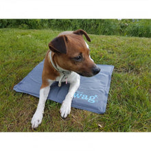 Load image into Gallery viewer, Henry Wag Gel Cool Mat Medium