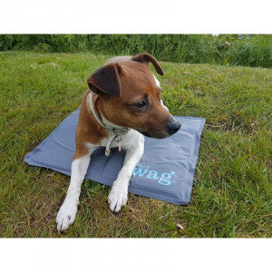 Henry Wag Gel Cool Mat Medium