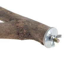 Load image into Gallery viewer, Bird Perch - wooden forked perch.