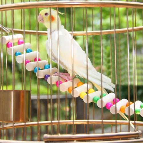 Bird Ladder - Wooden ladder with coloured beads