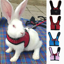 Load image into Gallery viewer, Rabbit Harness -  Vest Harnesses (Ferret/Guinea Pig)