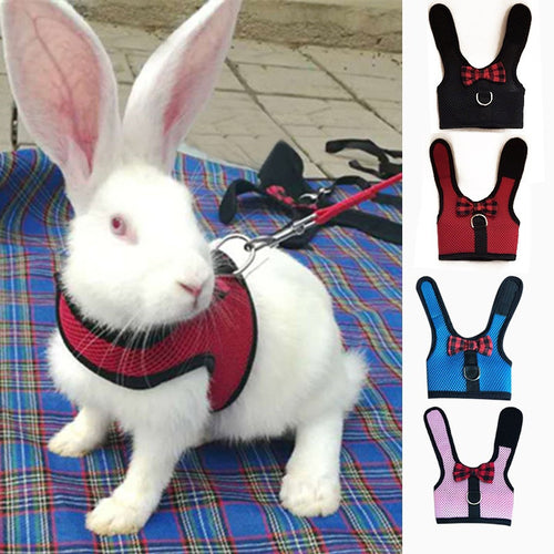 Rabbit Harness -  Vest Harnesses (Ferret/Guinea Pig)