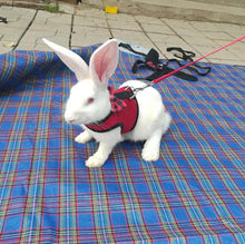 Load image into Gallery viewer, Rabbit Harness -  Vest Harnesses (Ferret/Guinea Pig)
