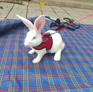 Rabbit Harness -  Vest Harnesses (Ferret/Guinea Pig)