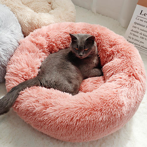 Cat, Dog Bed - Small Round Doghnut Bed