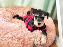 Load image into Gallery viewer, Cat, Dog Bed - Small Round Doghnut Bed