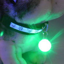 Load image into Gallery viewer, Dog Tag - LED, Light colours Red, Blue, White