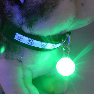 Dog Tag - LED, Light colours Red, Blue, White