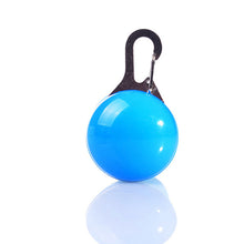 Load image into Gallery viewer, Dog Tag - LED, Light colours Red, Blue, White