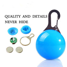 Load image into Gallery viewer, Dog Tag - LED, Light colours Red, Blue, White