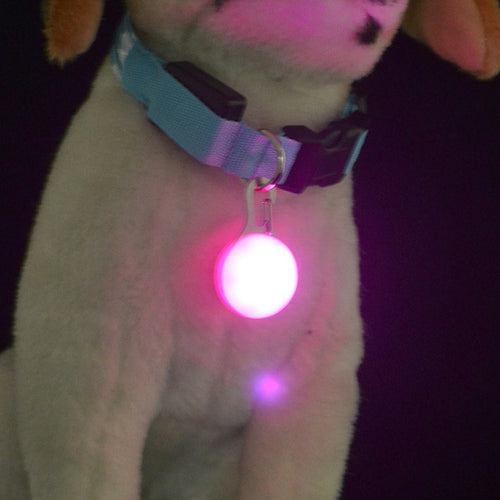 Dog Tag - LED, Light colours Red, Blue, White