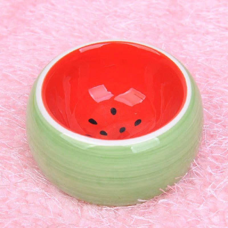 Hamster Bowl - Variety of Fruits